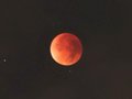 赤銅色 浮かぶ　皆既月食、県内３年ぶり観測