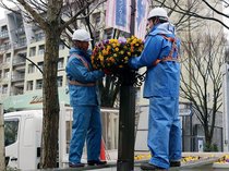 春の花 鮮やかに咲き競う　富山市中心部でフラワーバスケット設置