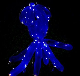 ホタルイカを作ってみた！【やちやちが行く‼（125）】