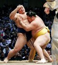 人気力士遠藤が引退へ　朝乃山とは７勝５敗