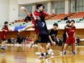 春中ハンド開催地男子代表に氷見北部　振興枠の代表は男女ともターミガンズ富山