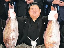 能登を勇気づける　横綱昇進の大の里一問一答