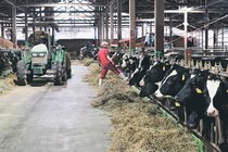 ＜自治体クローズアップ　１３＞黒部市<br />くろべ牧場、慢性赤字の改善へ議論　「基幹牧場」と「観光」両立