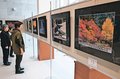 県内外の美しい風景紹介　富山・大沢野地域の写真愛好者、地元で作品展