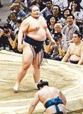 １敗維持 平幕Ｖ宣言　朝乃山