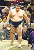 第二の故郷で白星を　朝乃山が気合「前に出て勝つ」