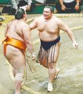 快進撃、堂々５連勝　朝乃山、攻め一気「狙い通り」