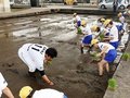 プロ選手と田植え　高岡・二塚小５年、雷鳥軍団と交流