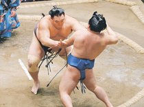朝乃山貫禄で新鋭封じ　２桁懸け２３日に高安と元大関対決