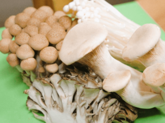 免疫力アップ効果で話題に！秋の味覚キノコの栄養と選び方【成長期の勝てる！体づくり(97)】