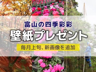 絶景写真をダウンロード