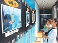 水族館の魅力伝える写真並ぶ　魚津水族館、「うおすいコンテスト」の作品展示