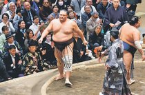 強烈突きにひるまず　朝乃山、納得の取組