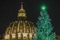 バチカン恒例のツリー点灯