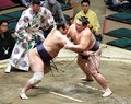 朝乃山 十両優勝　大相撲初場所１４日目