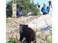 ＡＩクマ検知 防災無線と連携、いち早く放送　富山市が２地区で実験
