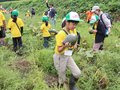 「五箇山ぼべら」大きく育った　南砺で小中学生が特産カボチャ収穫