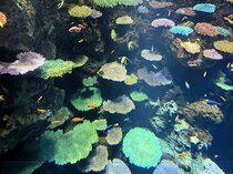 冬こそ、観光〜大阪〜旅行！