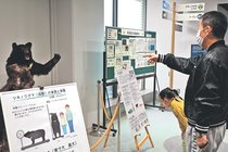 クマ知って正しく警戒　富山市科学博物館、大量出没受け展示