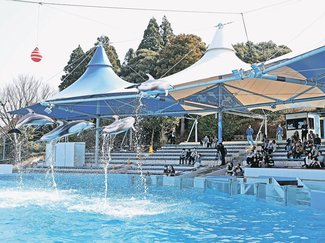 被災後初のイルカショー　のとじま水族館全面再開