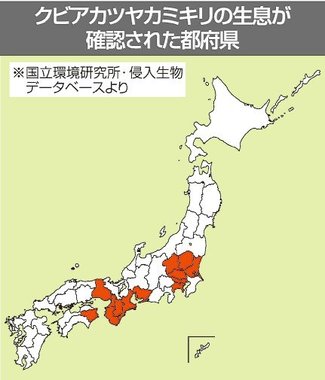 ＜ダニ博士の徒然草＞２４　五箇公一<br />お花見ができなくなるかも…！？
