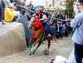 三重の上げ馬神事、疾走に歓声