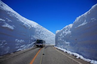 （58）おうちで「雪の大谷」ごっこ♪【やちやちが行く！！】