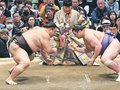 朝乃山一気呵成、１・５秒で決着 会心の内容　大相撲春場所２日目