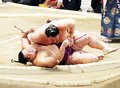 朝乃山、白鵬に上手投げで敗れる　名古屋場所２日目