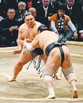 豪快投げで連敗止める　全勝のベテラン下す
