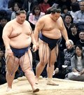 朝乃山、逸ノ城に屈し９敗目　九州場所１４日目