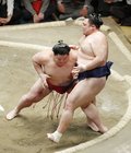 朝乃山、大栄翔に敗れ初黒星　大相撲初場所