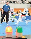 空手、新ルールで安全に　県内で大会、国内外５０人熱戦