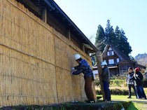 南砺・相倉合掌集落、冬支度着々と　雪囲い「オオダレ」設置