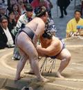 大の里が１敗堅守、全勝は消える