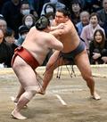 豊昇龍５勝目、大の里は１敗守る