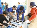 県道を花いっぱいに　富山・新保の住民とカターレ選手ら
