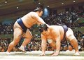 朝乃山３連勝で勝ち越し王手