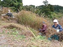 世界遺産継承に貢献 南砺・遊部自治会がカヤ刈り