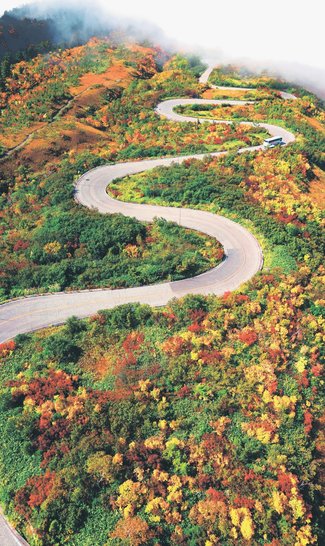 ＜とやまの紅葉２０２５　山岳編＞立山・七曲<br />秋色染まる高原