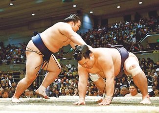 朝乃山３連勝で勝ち越し王手