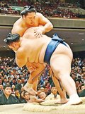 朝乃山５連勝　大相撲初場所