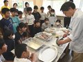 クロダイの生態面白い　氷見・宮田小６年、さばき方に興味津々