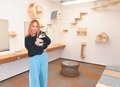 保護猫に幸せな出合いを、譲渡型カフェ １１月中開設　氷見の辻さん、支援募る