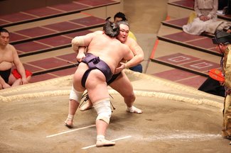 朝乃山、照ノ富士に寄り切りで敗れる　初場所１２日目