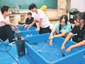 「魚高祭」（１９・２０日）に移動水族館　生徒が魚津水族館応援企画、教室に海や淡水の魚