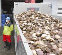 水産物輸入停止「納得できない」