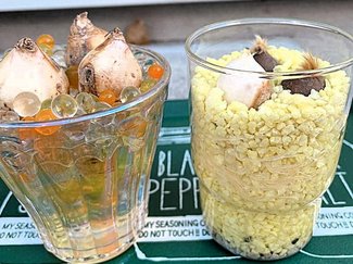 ㉟人工栽培用土で！簡単＆おしゃれに球根栽培【富山でつくる！ポタジェガーデン】