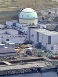 泊原発の早期再稼働に同意