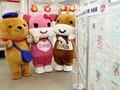 小矢部のメルギューくん・メルモモちゃんに年賀状、県内外から５７６通　桜町郵便局で展示